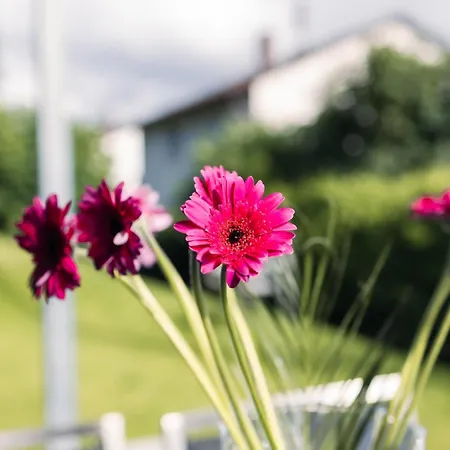 Apartment Purer Genuss - Garten Und Alpe Owingen